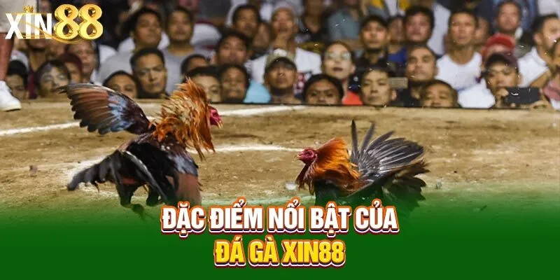 dac-diem-noi-bat-cua-da-ga-xin88